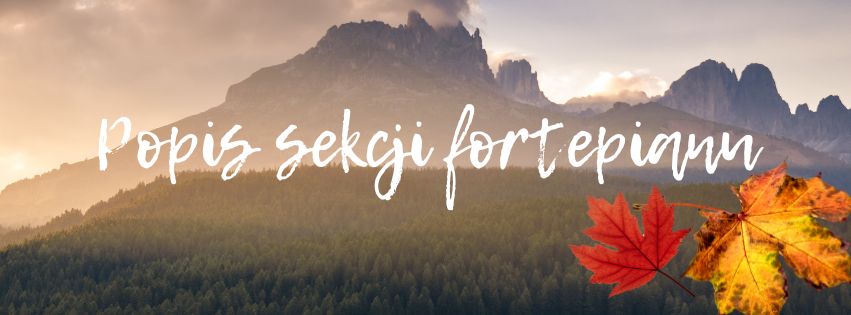 popis sekcji fortepianu