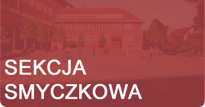 SEKCJA INSTRUMENTÓW SMYCZKOWYCH I GITARY